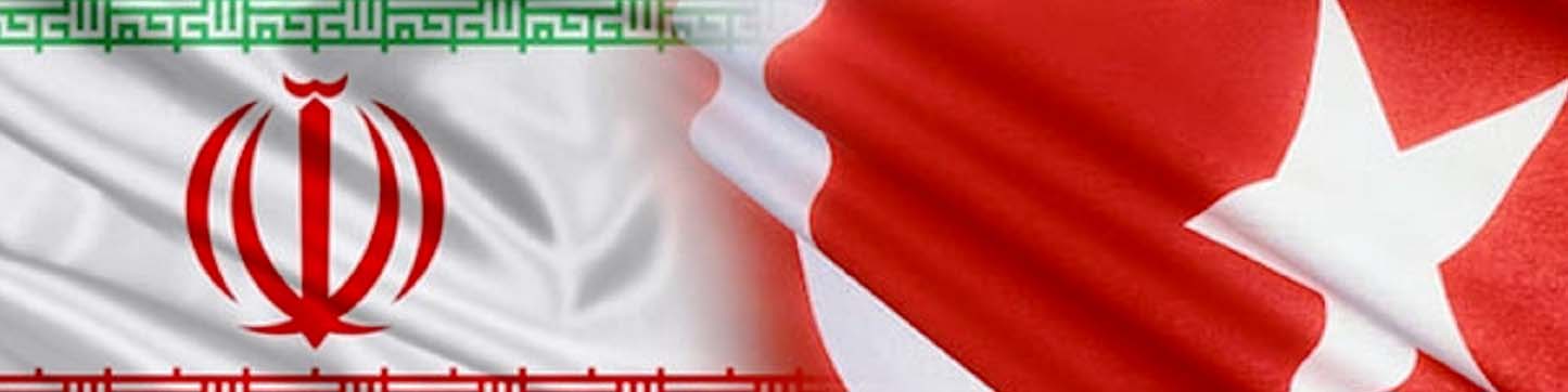 کاهش ارزش لیر به نفع ما تمام نمی‌شود/ تحریم‌های ایران سود قابل توجهی برای تجار ترکیه دارد